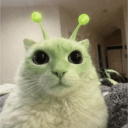 fczterty45 avatar